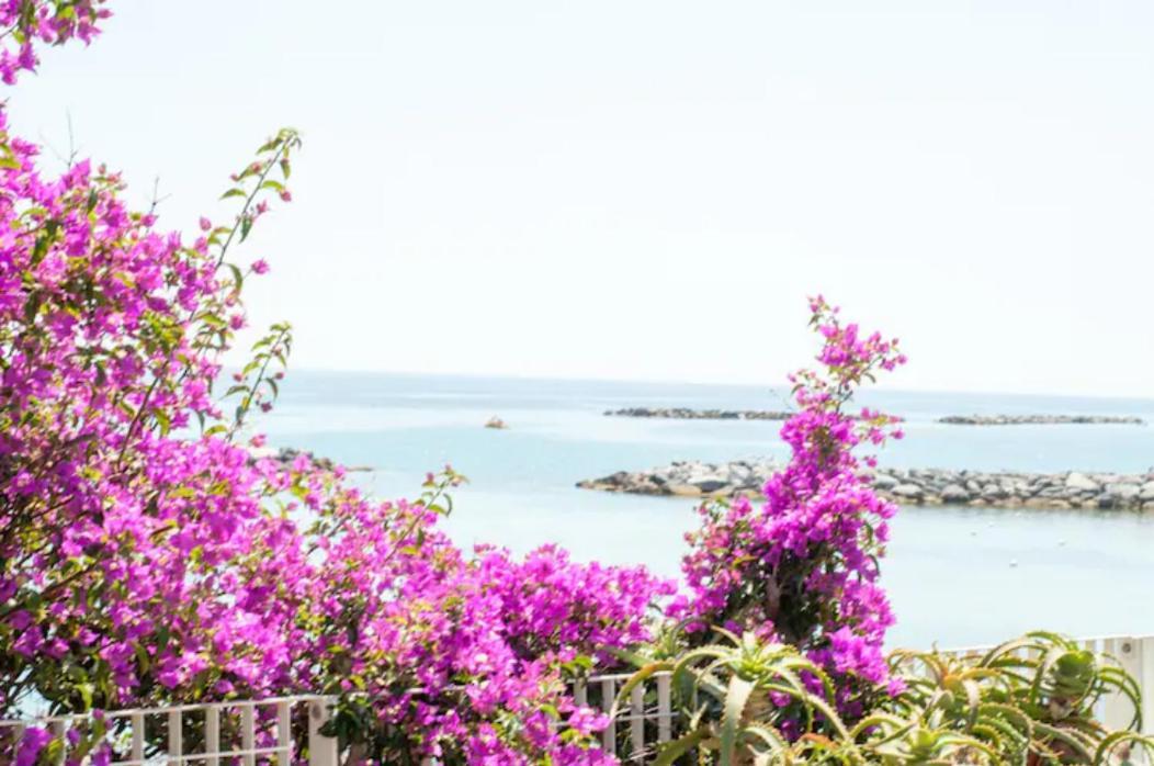Rosa Centralissimo San Remo Extérieur photo